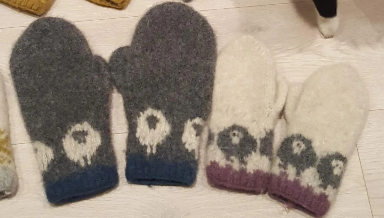To par ferdig tova sauevotter, ett grått med blå kant og ett hvitt med lilla kant.